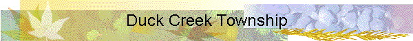 Duck Creek Township