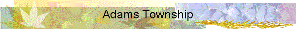 Adams Township