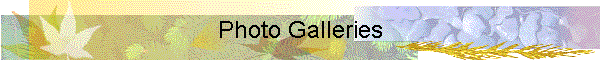 Photo Galleries