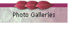 Photo Galleries