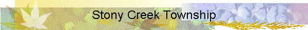 Stony Creek Township